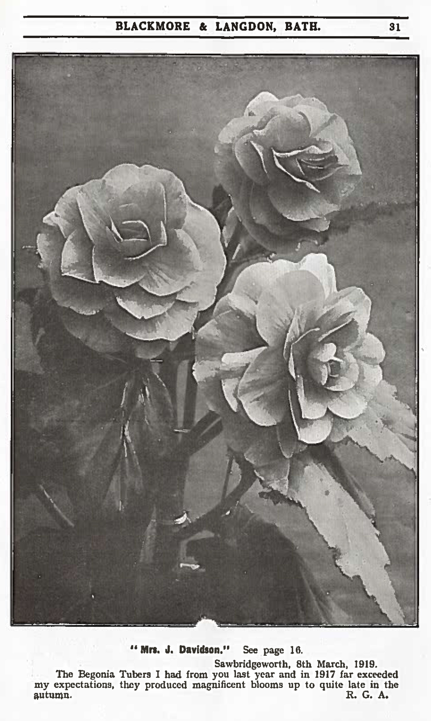 B. ‘Mrs. J. Davidson’